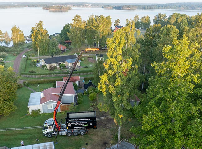 Ola Egefalk trädfällning lastbil