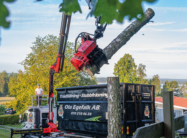 Tradplockning-Ola-Egefalk Trädplockning överskådligt Ola Egefalk Trädfällning